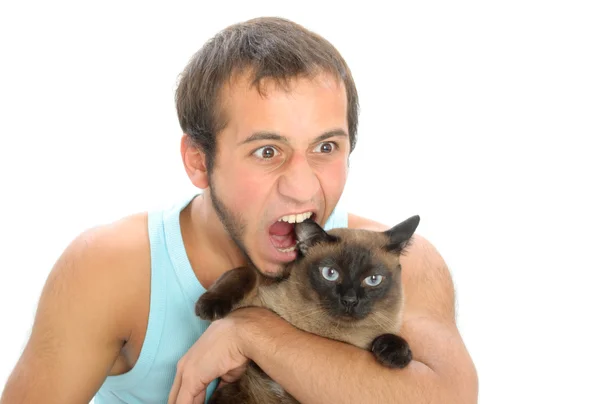 Άνθρωπος δαγκώνει για αυτί της γάτας — Φωτογραφία Αρχείου