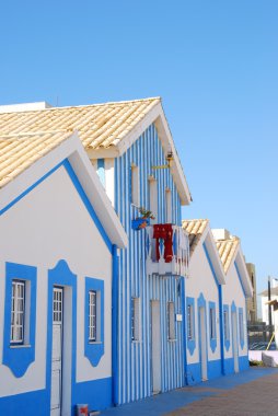 Typical house in Vieira, Portugal clipart