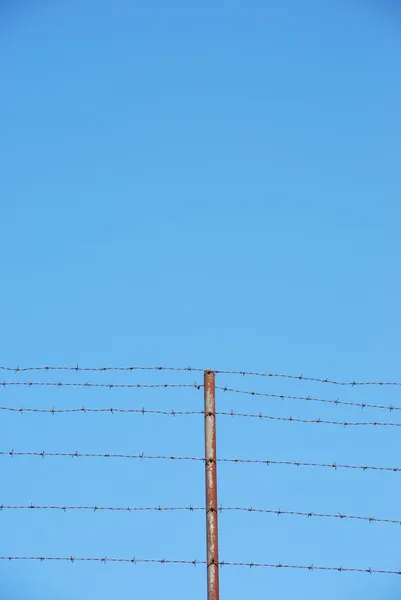 Ostnatý drát na modré obloze pozadí — Stock fotografie