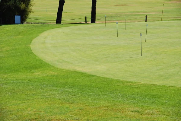 Golf vihreä käytäntö — kuvapankkivalokuva