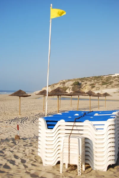 Пляжні стільці та кокоси — стокове фото
