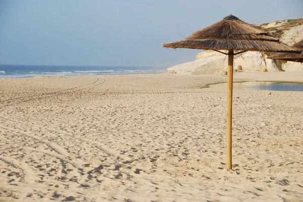Пляжна сцена з зоною кокосів — стокове фото