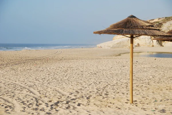 Пляжная сцена с кокосовой зоной — стоковое фото