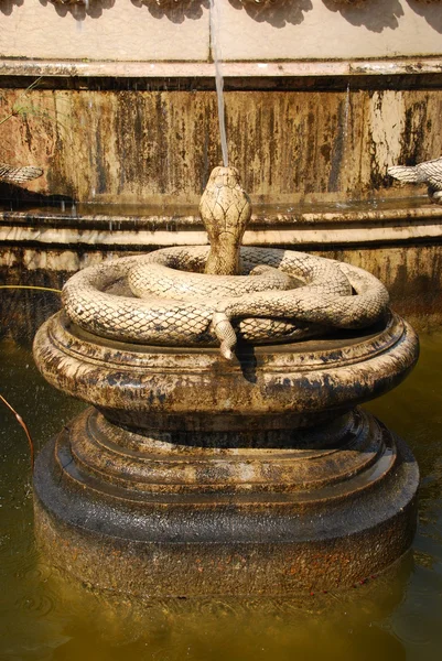 Antique snake fountain — Stock Photo, Image