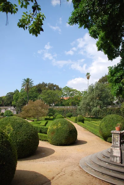 Enchanted Ajuda garden in Lisbon, Portugal — Stock Photo, Image
