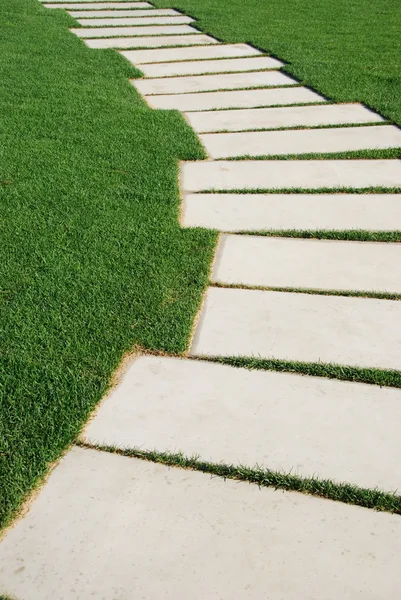 Serpentine väg stenar på en park gräsmatta (koncept) — Stockfoto