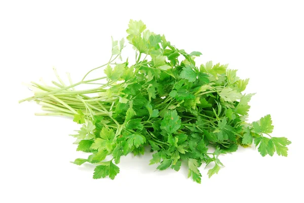 Bouquet of parsley on white — Stock Photo, Image