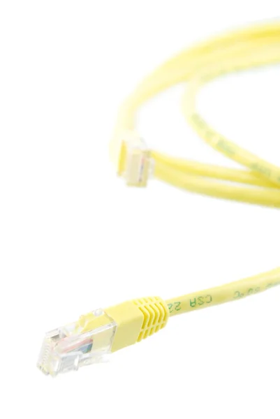 RJ-45, ethernet cable on white — Stock Photo, Image