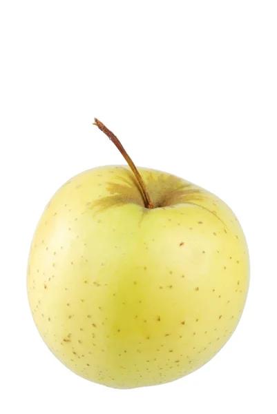 Gouden heerlijke appel op wit — Stockfoto