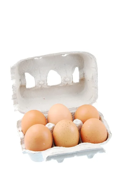 六个棕色蛋装在一个纸箱中 — 图库照片
