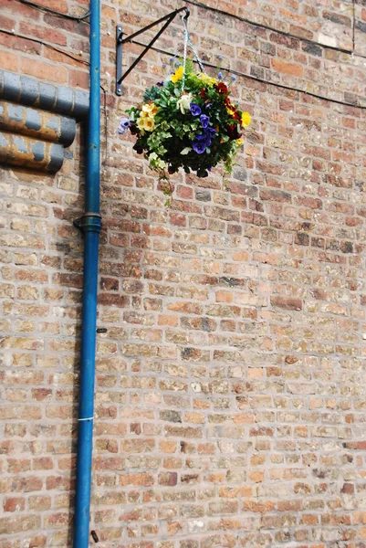 Blumentopf aufhängen — Stockfoto