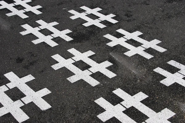 Kardinaller ile asfalt — Stok fotoğraf