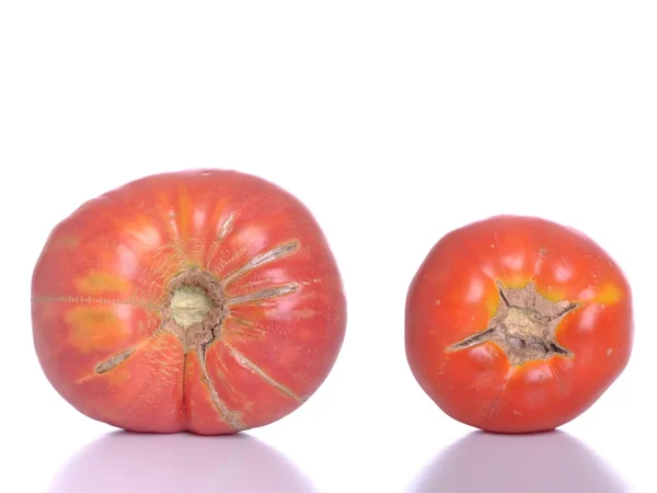 Biologische Tomaten — Stockfoto