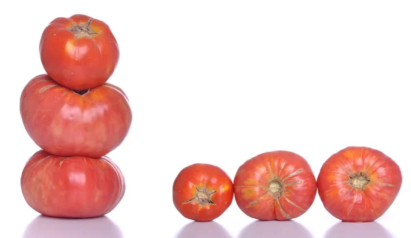 生物学的トマト — ストック写真