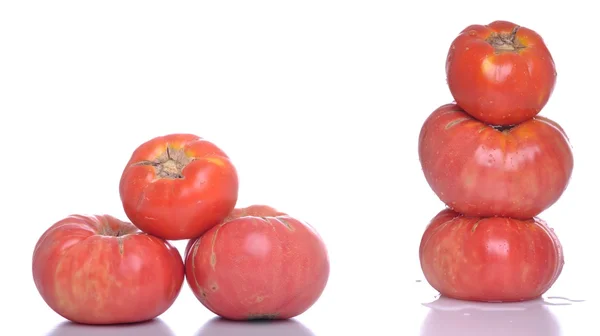 Biologische Tomaten — Stockfoto