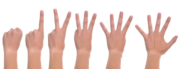 Vrouw handen tellen — Stockfoto
