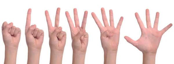 Vrouw handen tellen — Stockfoto