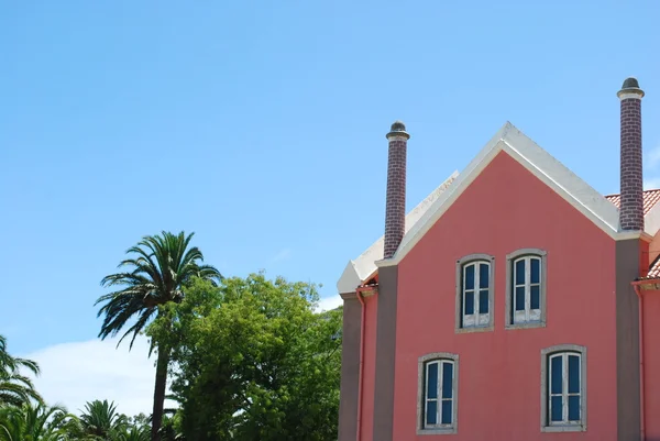팜 나무 정원 핑크 전통적인 건물 — 스톡 사진