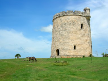 Cuban tower clipart