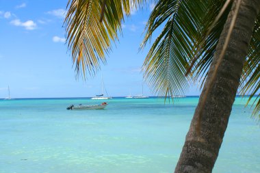 Tropical Caribbean beach clipart
