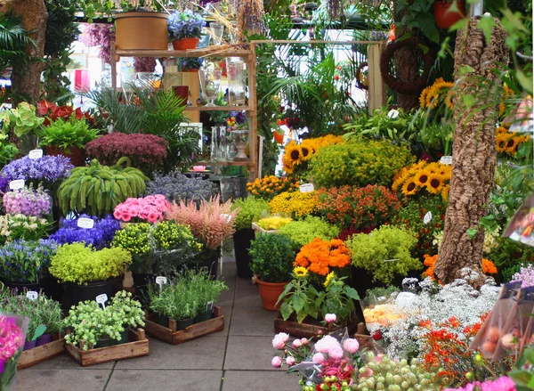 Blumenmarkt — Stockfoto