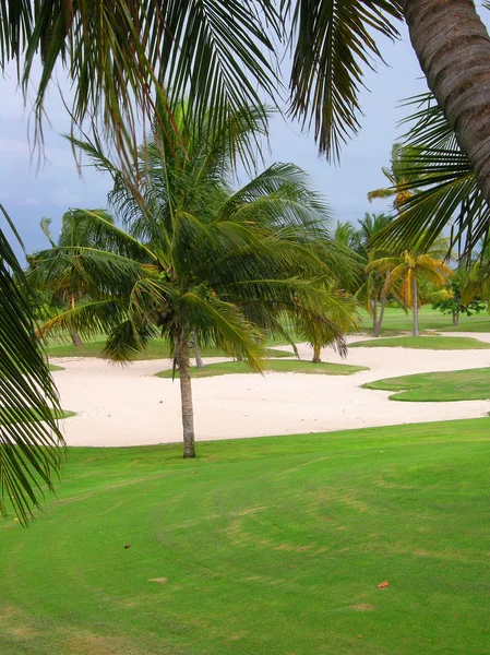 Resort golfbana — Stockfoto