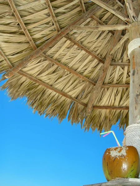 Stranden kokos cocktail — Stockfoto