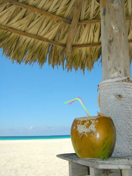 Strand kokosnoot cocktail — Stockfoto