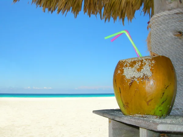 海滩椰子鸡尾酒 — 图库照片