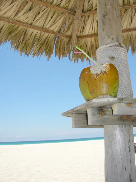 Plaża kokos koktajl — Zdjęcie stockowe