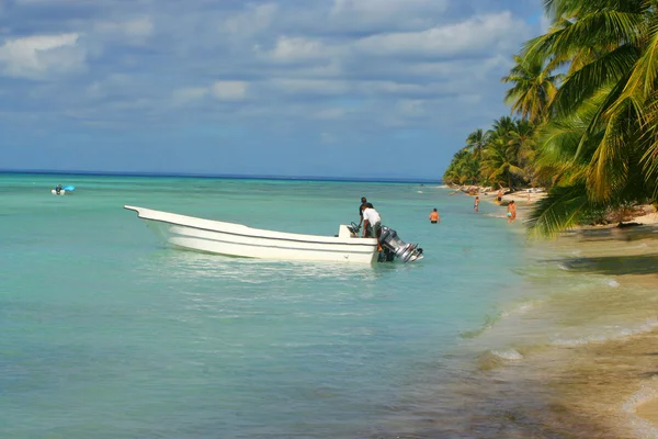 Côte des Caraïbes — Photo