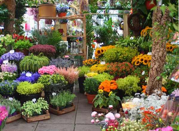 Blomstermarknaden Stockbild