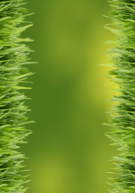 Green grass background clipart