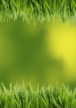 Green grass background clipart