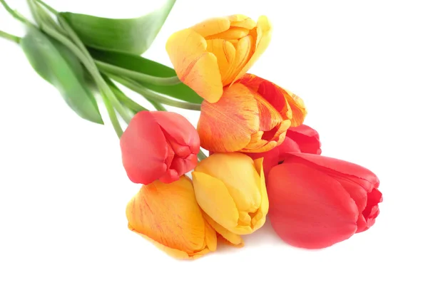 stock image Bouquet of tulips