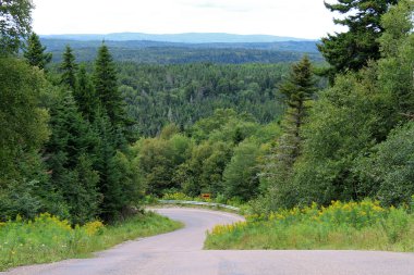 Trees and winding road clipart