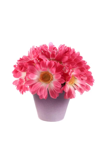 Bouquet di margherite rosa — Foto Stock