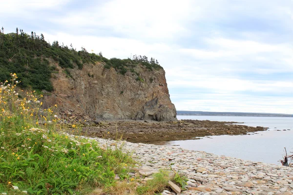 岬を激怒させる、ニューブランズウィック州、カナダ — ストック写真