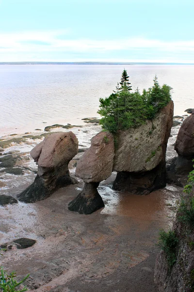 Hopewell Rocks, Nuevo Brunswick, Canadá — Foto de Stock