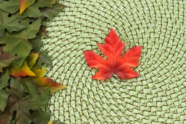 Akçaağaç yaprağı ve hasır arka plan düşmek — Stok fotoğraf