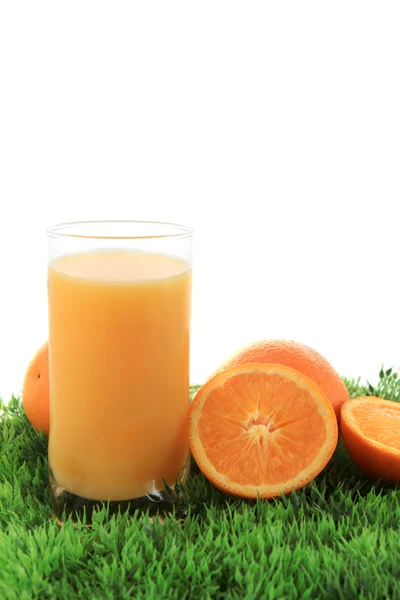 Orangensaft und Obst auf Gras — Stockfoto