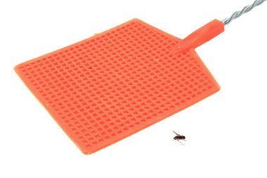 Fly swatter clipart