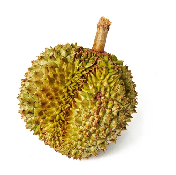 Durian. gigantyczne owoców tropikalnych. — Zdjęcie stockowe