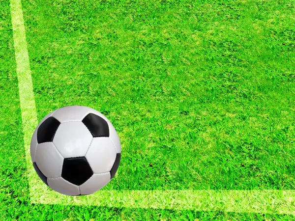 Piłka trawa trawnik — Zdjęcie stockowe
