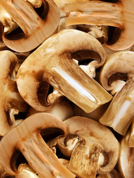 Vegetables mushrooms — Stock Photo, Image