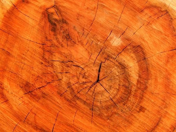 Текстуры дерева — стоковое фото