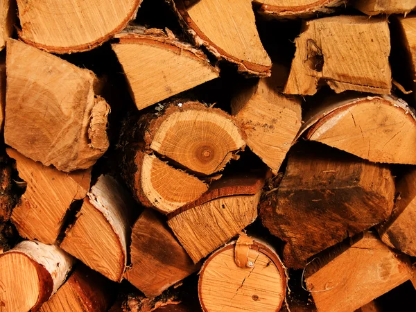 Tölgy fa fa tűz — Stock Fotó