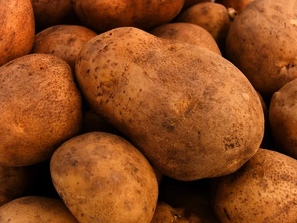 Knollen aardappel groenten — Stockfoto
