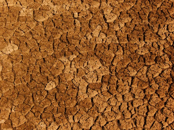 Cracks ground soil — Stock Photo, Image