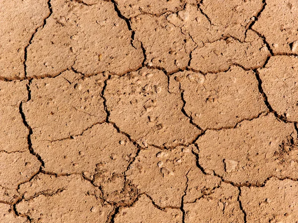 Cracks superficie del terreno — Foto Stock